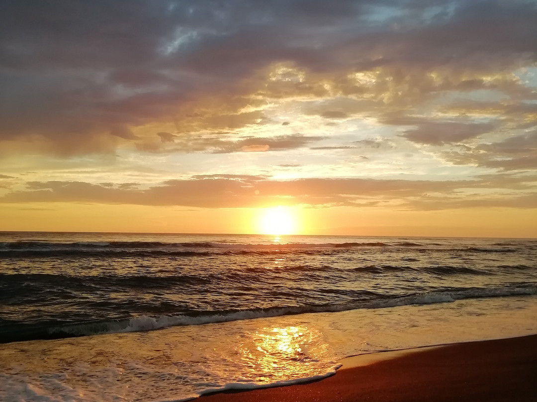 Shekvetili Green House