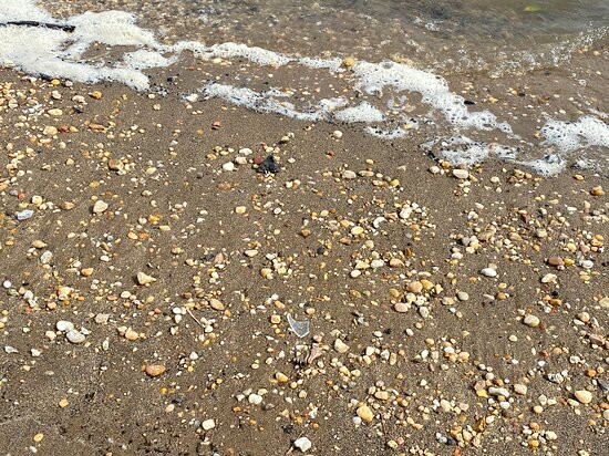 Deemers Beach-New Castle必去景点