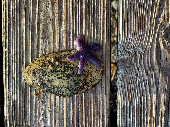 Troense Bed and Breakfast by the sea主图