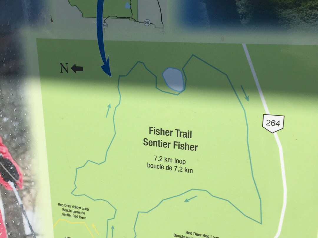 Fisher Trail景点图片