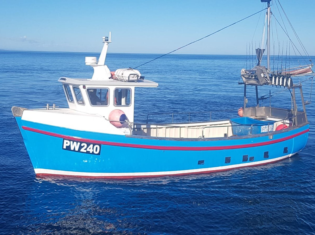 Diligence Mackerel Trips