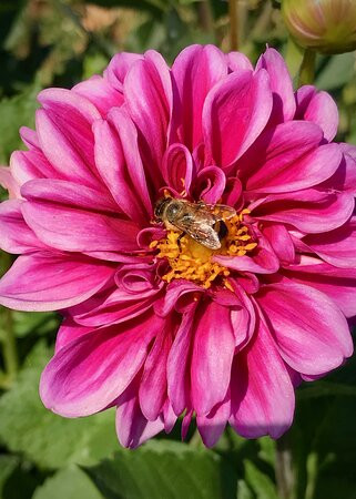 The Gorge White House-胡德里弗必去景点