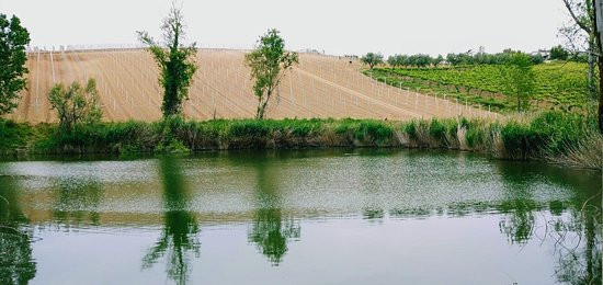 Buzzarone景点图片