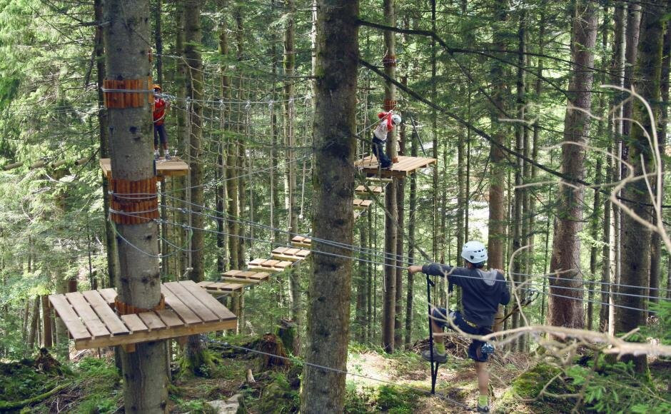 Organic Adventure Park