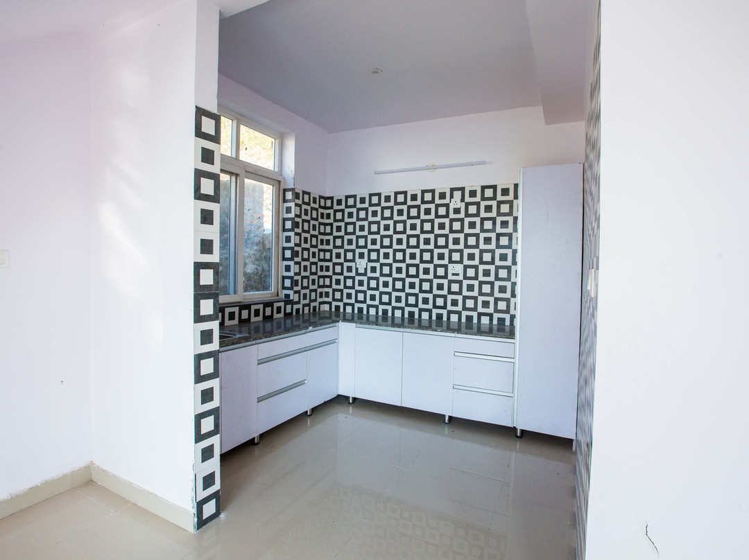 Bluepine Orchard主图