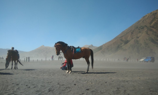 Tour Bromo Vulkaan-玛琅必去景点