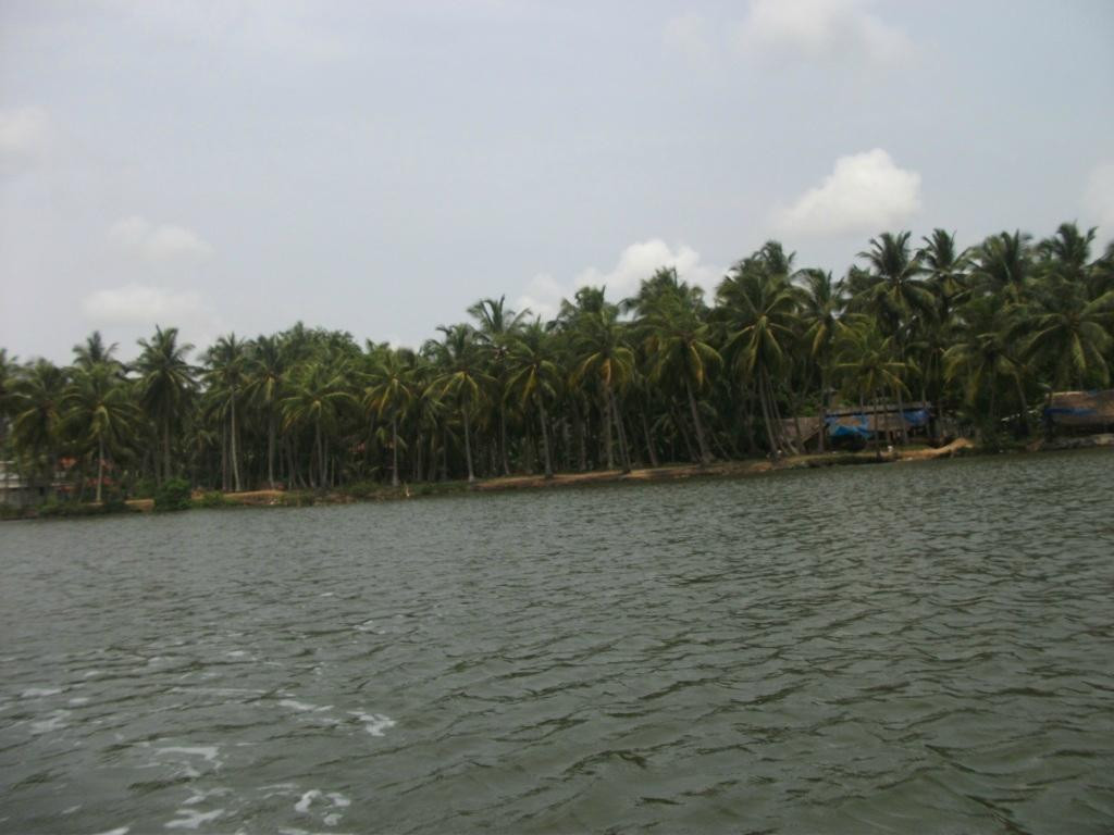 Biyyam Kayal Backwater景点图片