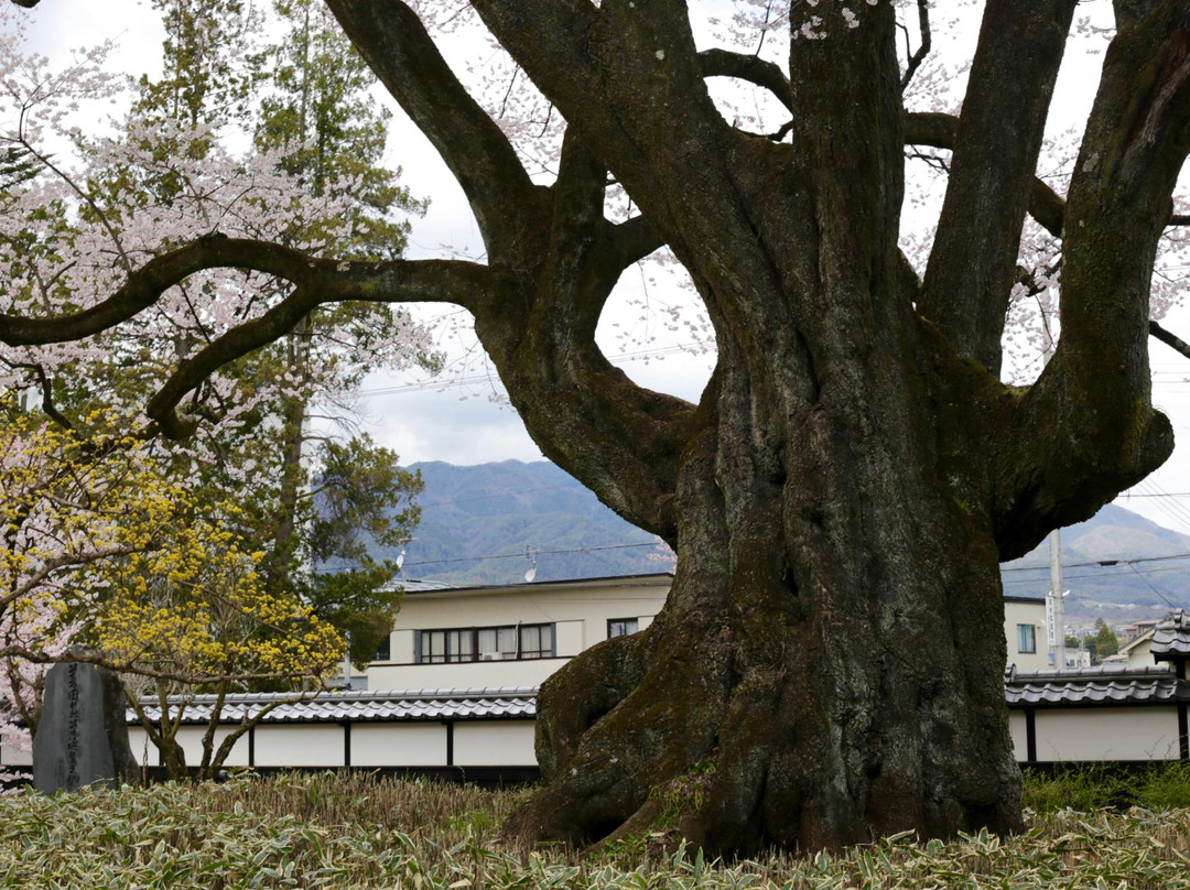 饭田市旅游景点-Iida City Museum of Art
