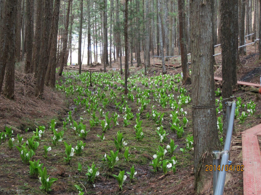 Katakuri Mountain Park-那珂川町必去景点