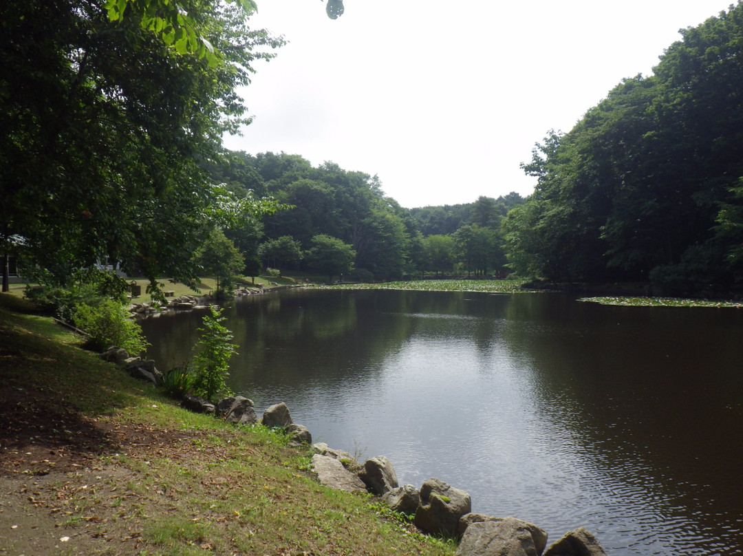 安平町旅游攻略图片