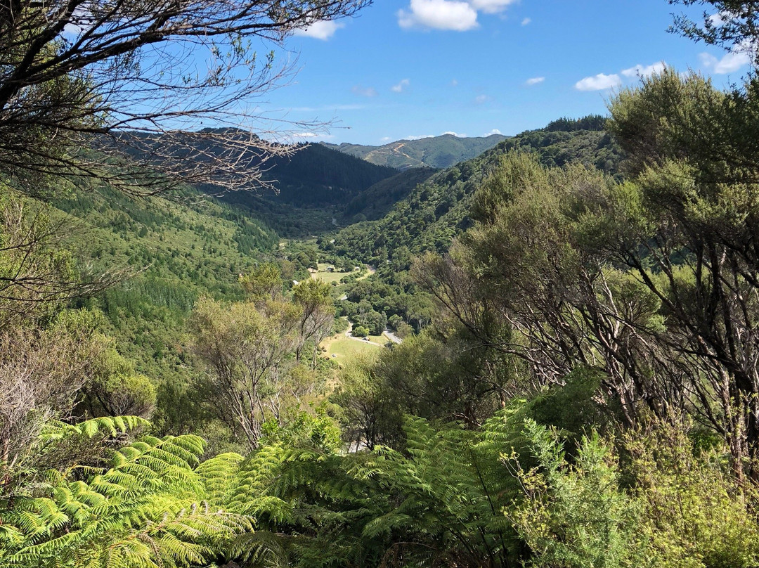 Rimutaka Forest Park景点图片