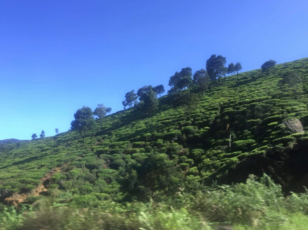 Fox Hill-Badulla必去景点