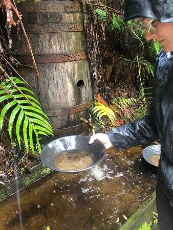 Mitchells Gully Goldmine景点图片