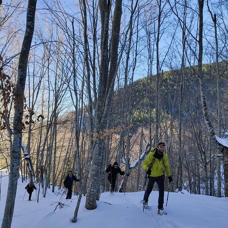 Silvestres-艾斯卡拉伊必去景点