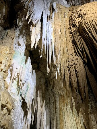 萤火虫汽车旅馆主图