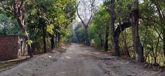 Harike Wetland and Bird Sanctuary-阿姆利则必去景点