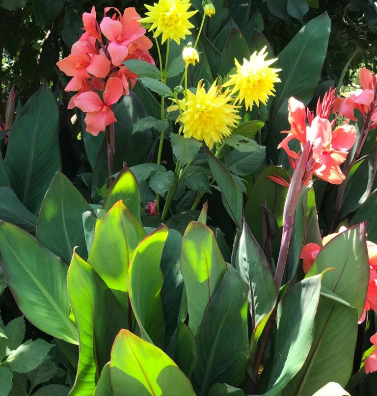 Botleng Guest House主图