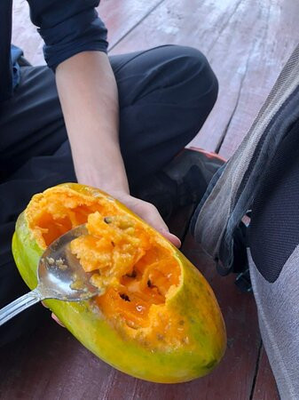 Tropical Island Adventure-Banana Islands必去景点