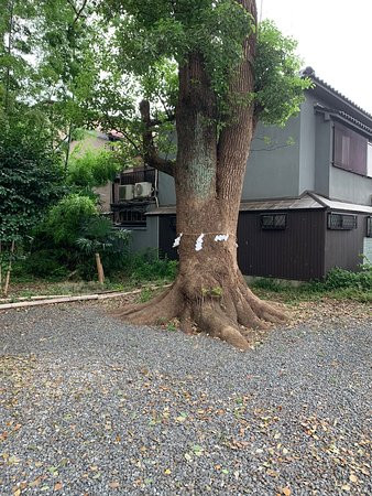 Kotari Shrine-长冈京市必去景点
