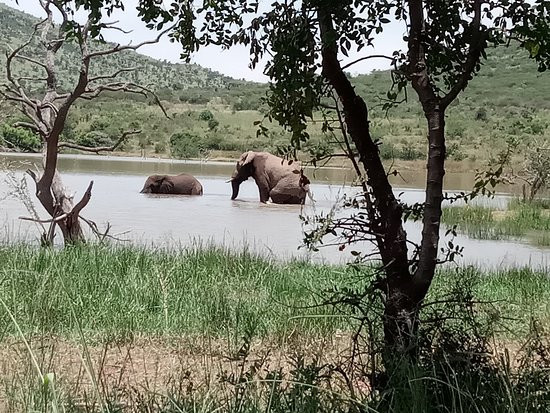 Soul Adventures-约翰内斯堡必去景点