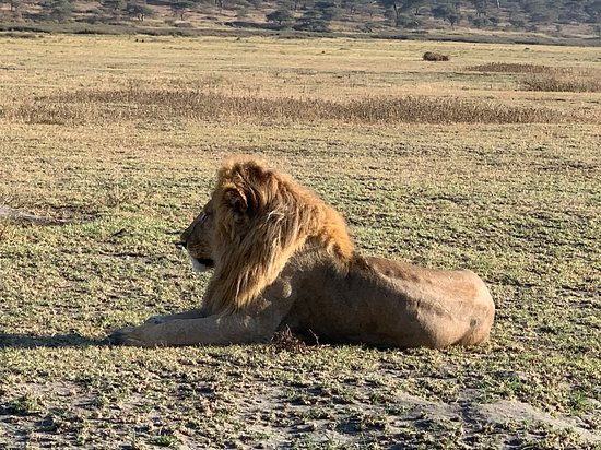 Tupo Africa Tours-乞力马扎罗山国家公园必去景点