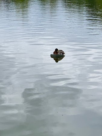 Panoramagique景点图片