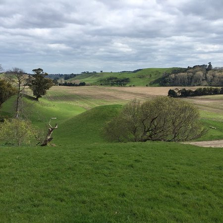 Cameron Blockhouse-Kaitoke必去景点