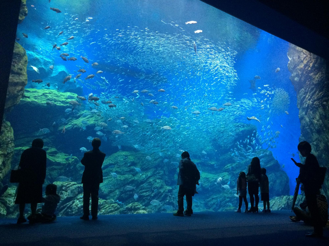 Sendai Uminomori Aquarium景点图片