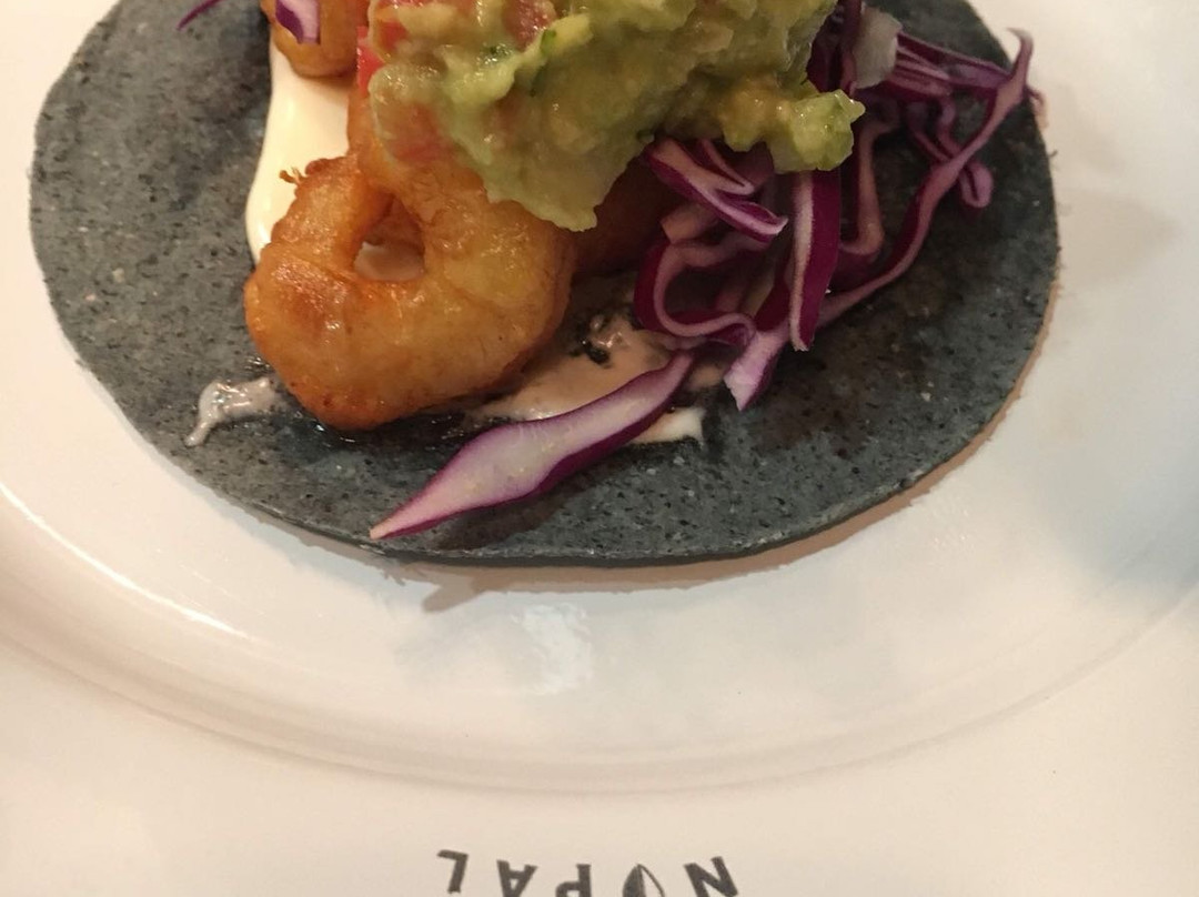 Bendito Nopal
