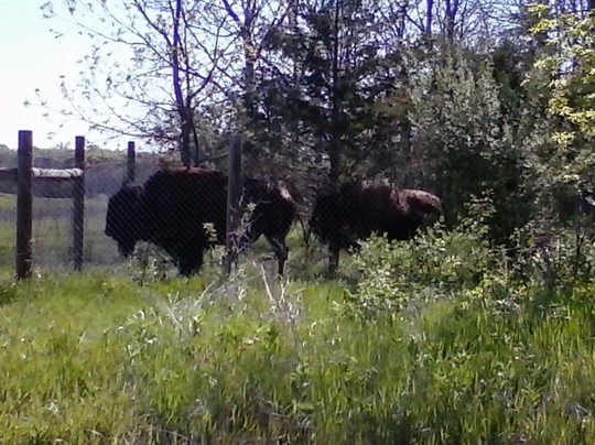 Poynette旅游攻略图片