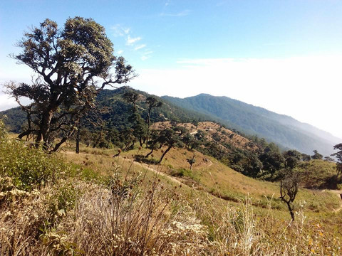 Mount Victoria National Park