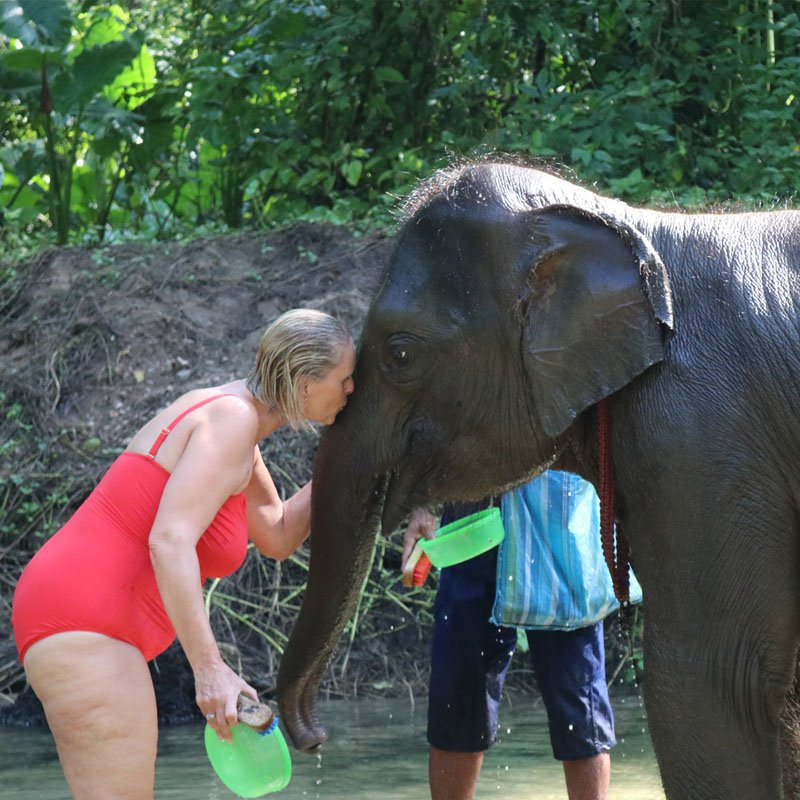 Khao Lak Elephant Home-拉克山必去景点