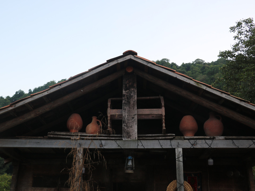 Taberne In Guria - Atsana