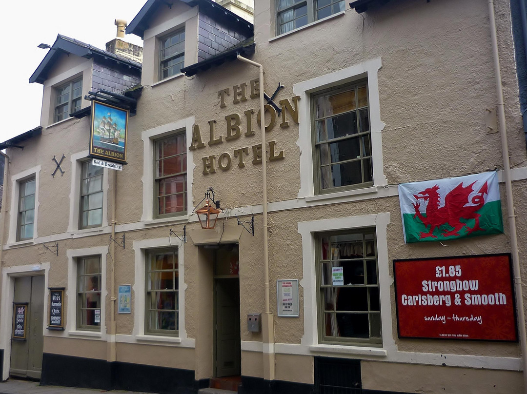 The Albion Inn景点图片