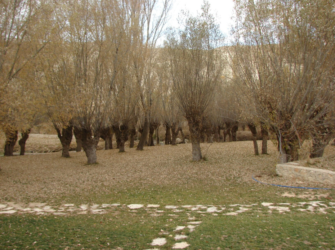 Gürün Doğal Yaşam Parkı