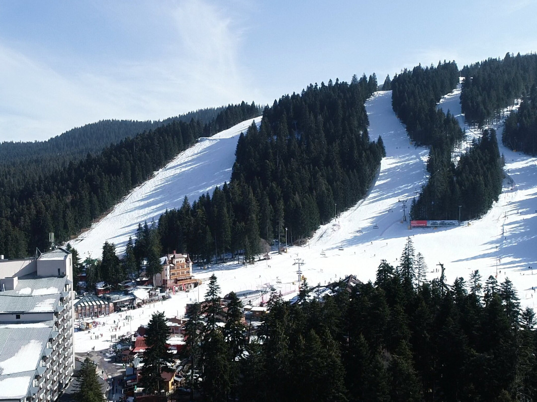 ALPIN Rent Ski & School Borovets景点图片