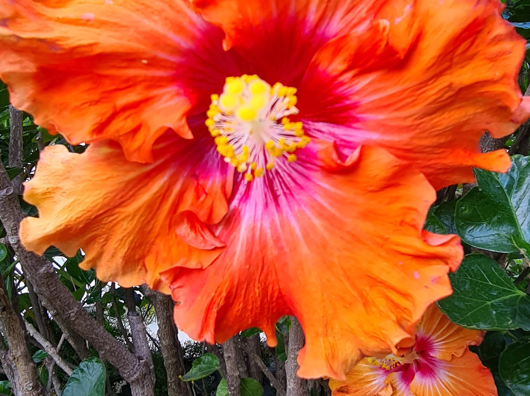 最佳西方海泉汽车旅馆主图