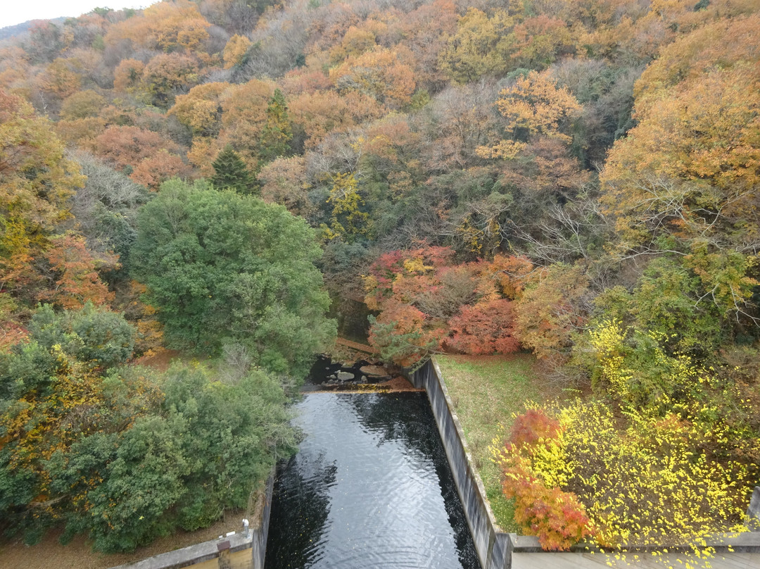 Narutaki Dam景点图片