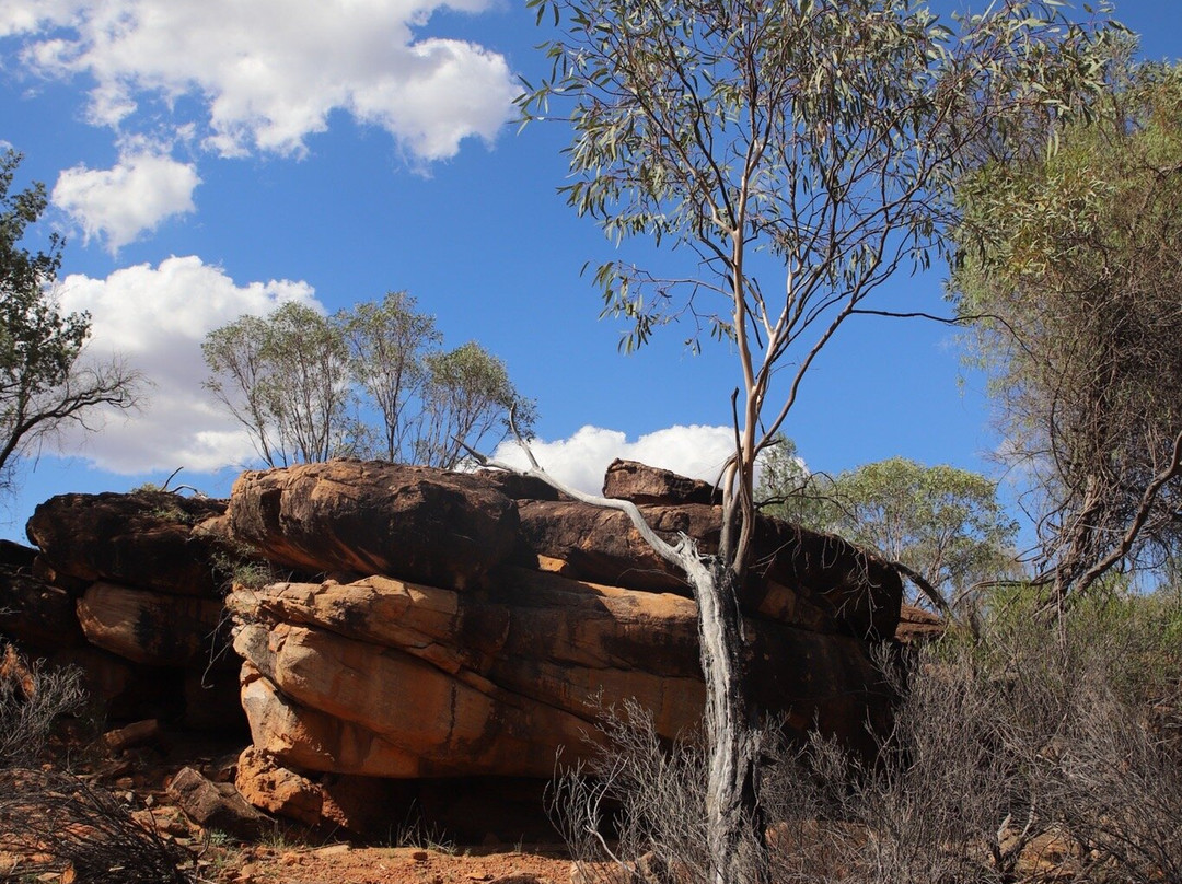 Gundabooka National Park-Bourke必去景点