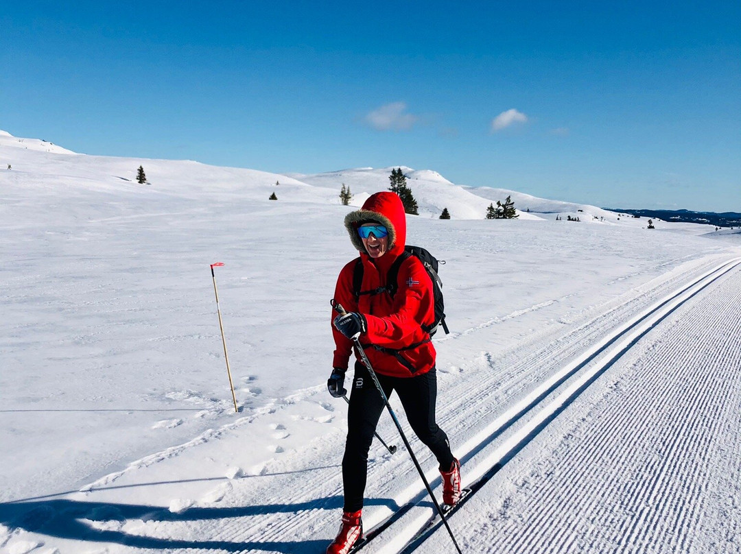 Valdres Hoyfjellshotell主图