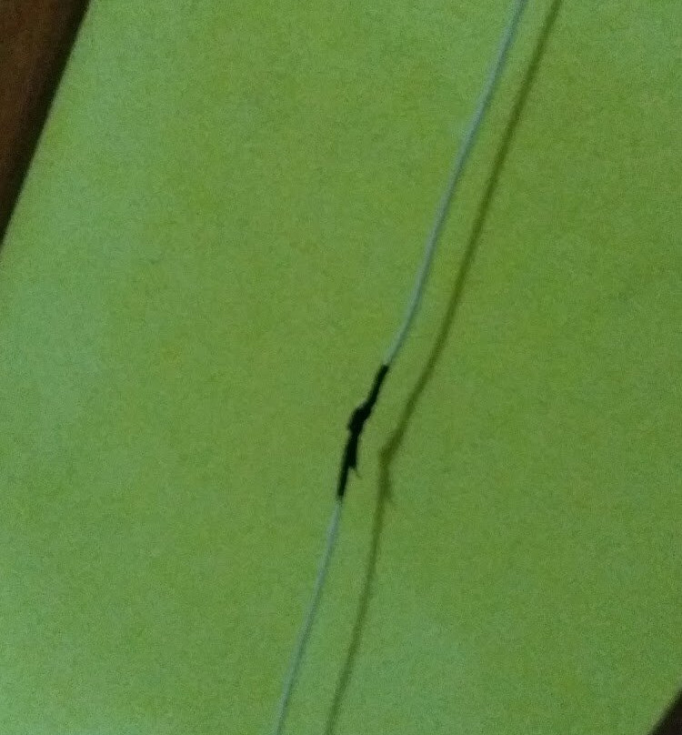 Belihuloya Terico Resort主图