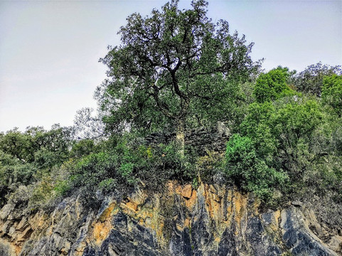 Minas Del Agua Y Del Cavall-Artana必去景点