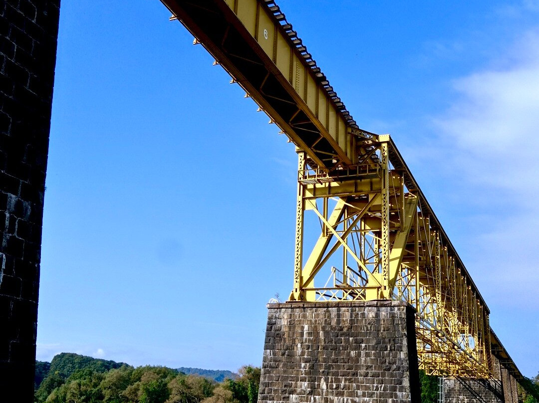 Ichinoto Kyoryo Bridge景点图片