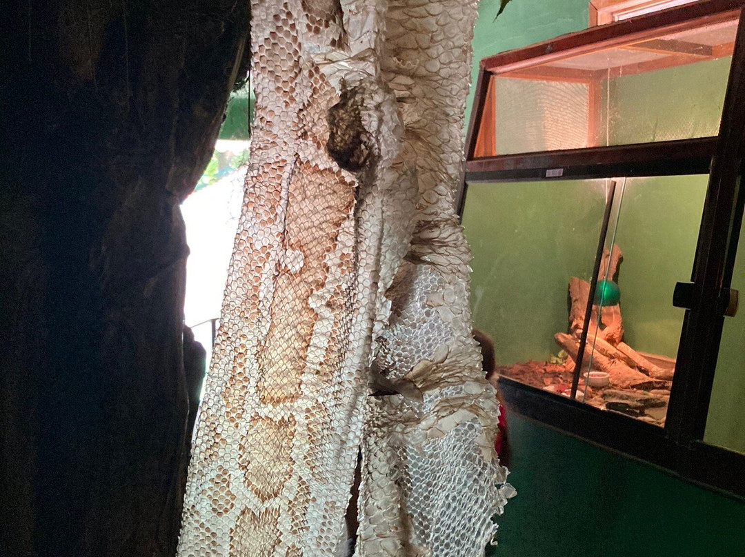 Arca do Noah - Educacao Ambiental-Guaratiba必去景点