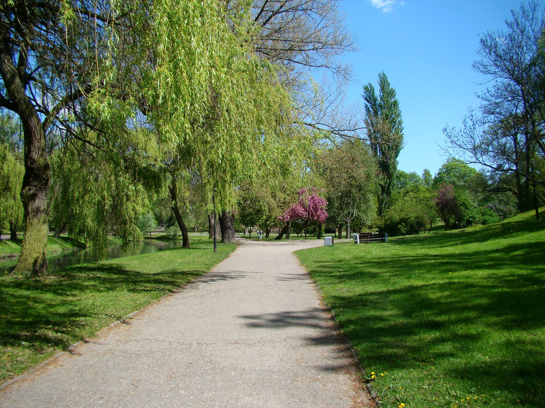 Park Im. H. Sienkiewicza景点图片