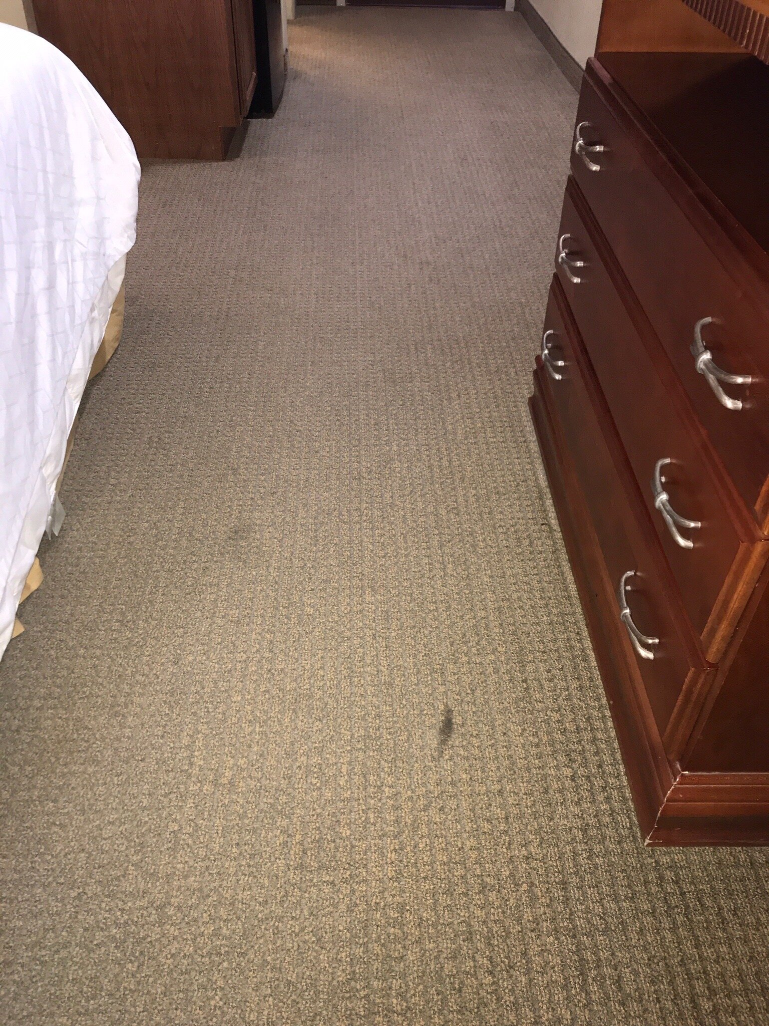 Holiday Inn Express & Suites Ada By IHG-官方