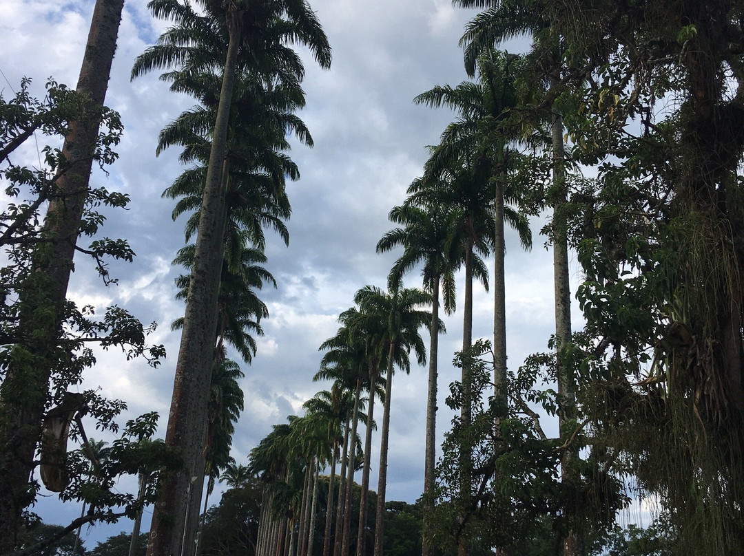 Parque Roberto Burle Marx景点图片