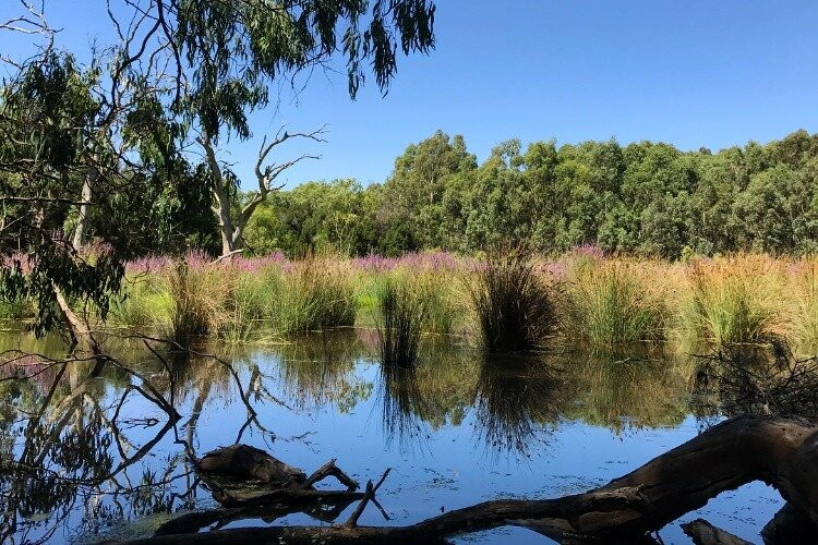 Nangak Tamboree Wildlife Sanctuary景点图片