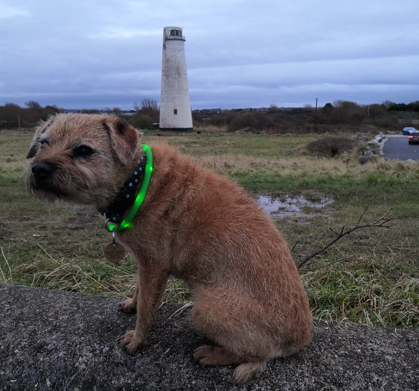 Leasowe Lighthouse-Moreton必去景点