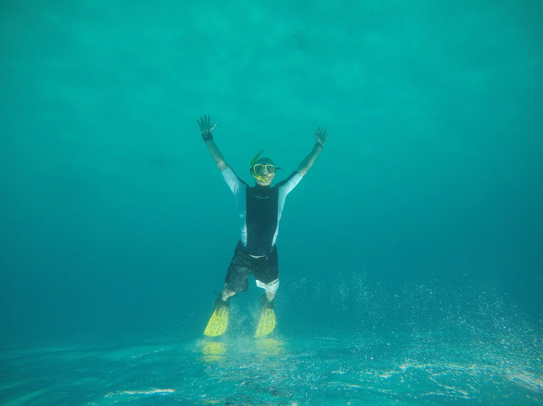 Bluewavediving-Zanzibar-米查维必去景点